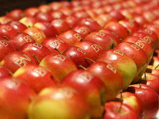 BNI denKMUster Event 2017