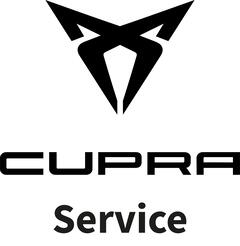 Cupra Service